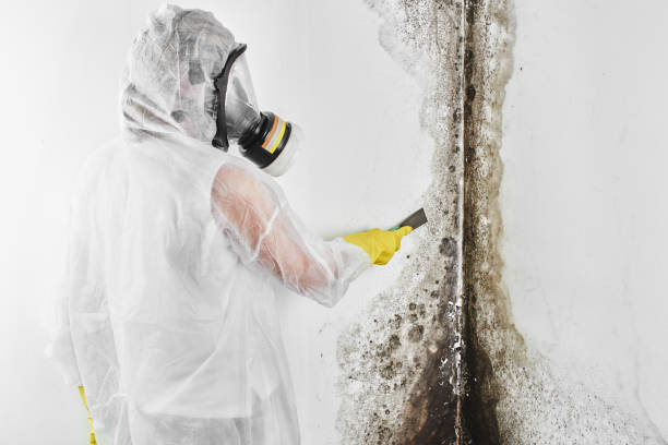 Forensic Mold Investigation